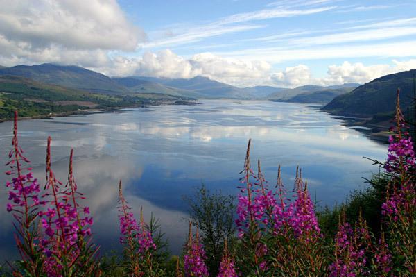 Glen Na Smole Bed and Breakfast Wicklow Exterior foto